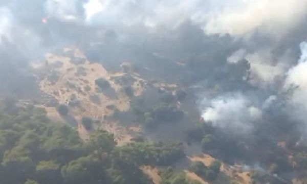 Karşıyaka'da orman yangını